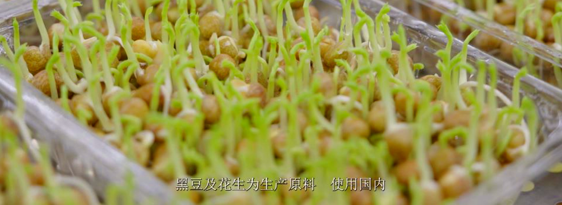 通栏图片